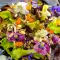 Salata cu violete