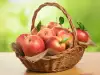 Колко време след засаждането ябълката започва да дава плод?