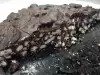 Brza keks torta sa crnom čokoladom
