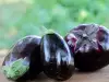 Do Eggplants Cause Any Harm?