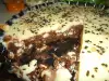 Какаова бисквитена торта с ром