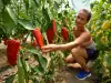 10 razloga da jedete više paprike
