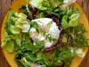 Groene salade met burrata