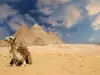 Какво означава да сънуваш камила?