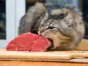 Защо не могат котките да ядат свинско?