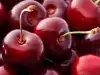 Can Cherries and Morello Cherries be Frozen?