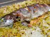 Oven-Baked Rainbow Trout with Rice and Leeks
