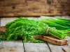 Dill: Aromatic Spice and Medicinal Herb