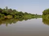 Река Гамбия