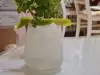 Klassischer Gin Fizz Cocktail