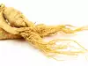 Benefits and Properties of Siberian Ginseng