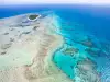 Австралия губи Големия бариерен риф?