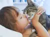 Как котките помагат на хората с аутизъм