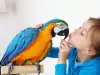 Кои породи папагали са подходящи за дете