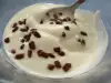 Vanilla Cream with Chocolate Chunks