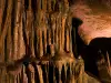 Безплатни посещения в пещерата Леденика на 27 септември - Световен ден на туризма