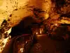 Проект за нова атракция в пещерата Леденика