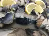 Schnell marinierte Makrele