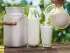 Как определить жирность молока?