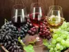 Заповядайте на празник на младото червено вино в Сандански