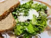 Gesunder Salat mit Portulak und Joghurtsoße