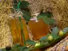 Healthy Fig Leaf Syrup