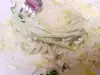 Кето спагети от тиквички със синьо сирене и сметана