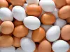 Коричневые или белые яйца – есть ли разница?